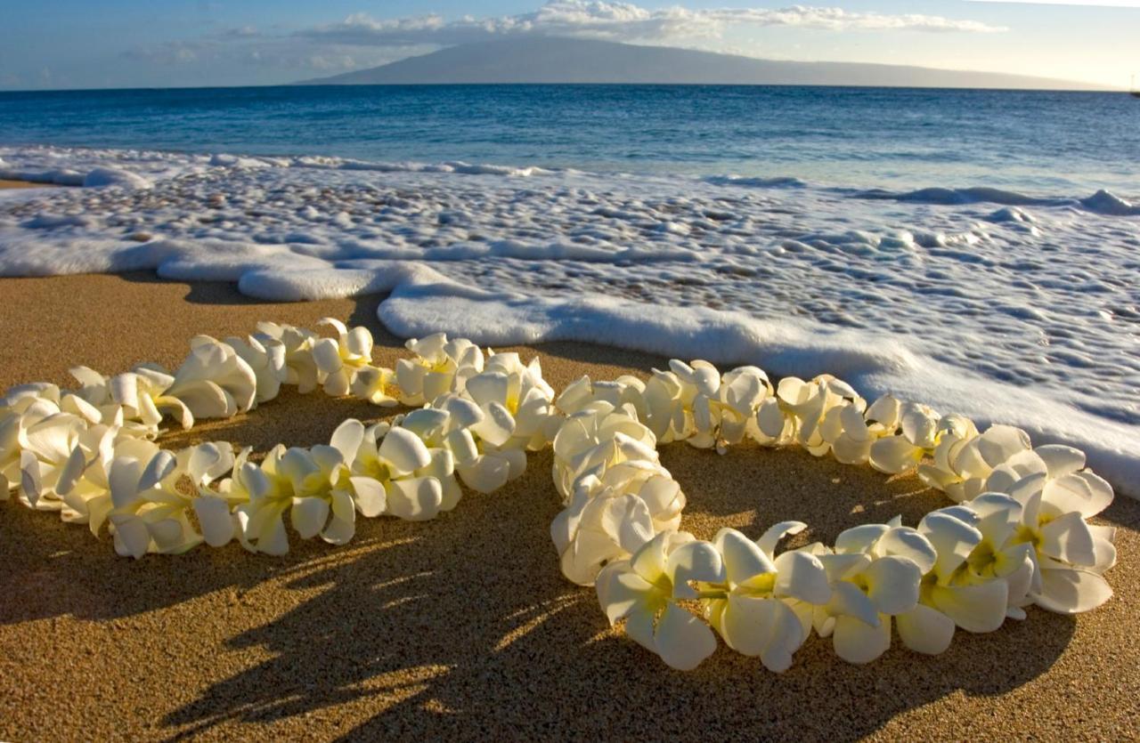 Diamond Head Views Retreat With Free Parking & Near Waikiki Beach! 호놀룰루 외부 사진