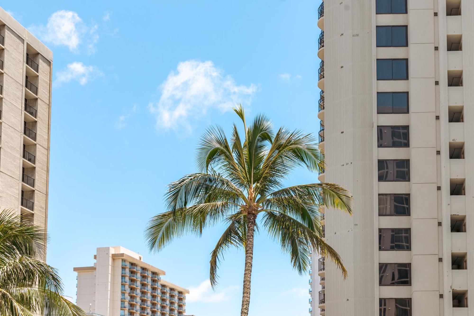 Diamond Head Views Retreat With Free Parking & Near Waikiki Beach! 호놀룰루 외부 사진